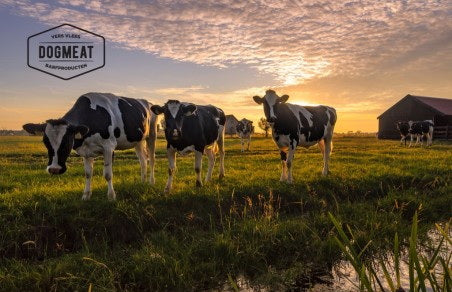 Runderlever 1000 gram