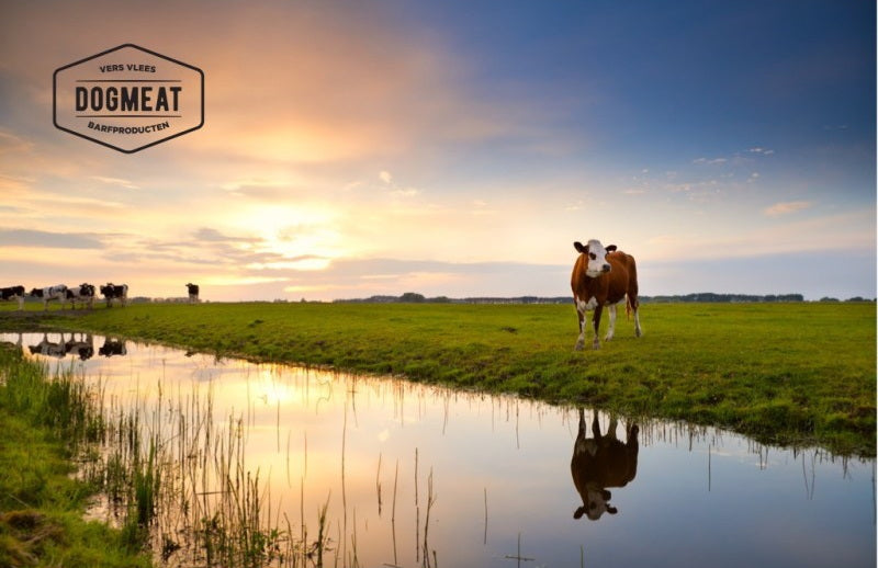 Rundernier 1000 gram