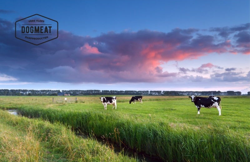 Rund gemalen 200 – 500 – 1000 gram