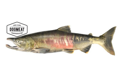 Zalm gemalen 200 – 500 – 1000  gram