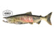 Zalm gemalen 200 – 500 – 1000  gram